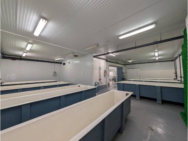 Inmueble en Venta en Ayamonte