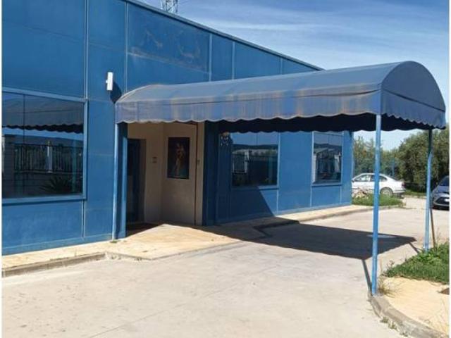 Inmueble en Venta en Cabra