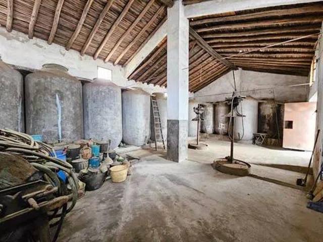 Inmueble en Venta en Calera de León