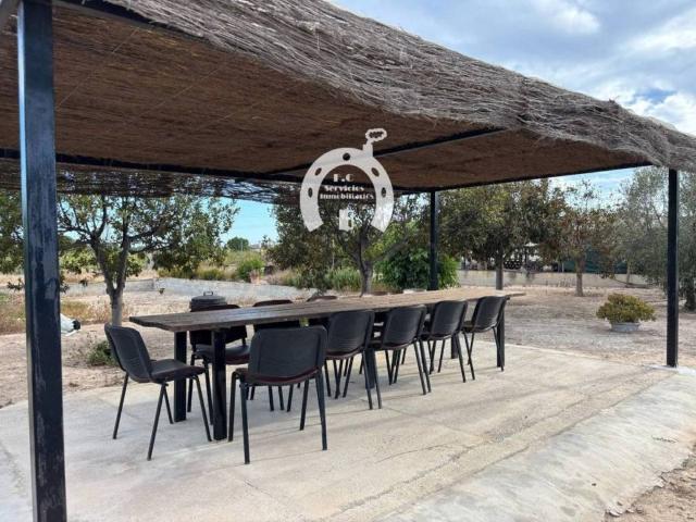 Inmueble en Venta en Elche Elx