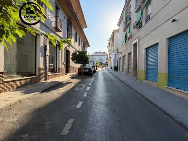 Inmueble en Venta en La Zubia