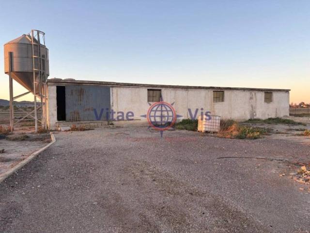 Inmueble en Venta en Lorca