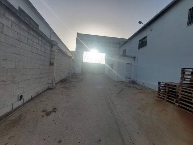 Inmueble en Venta en Lucena