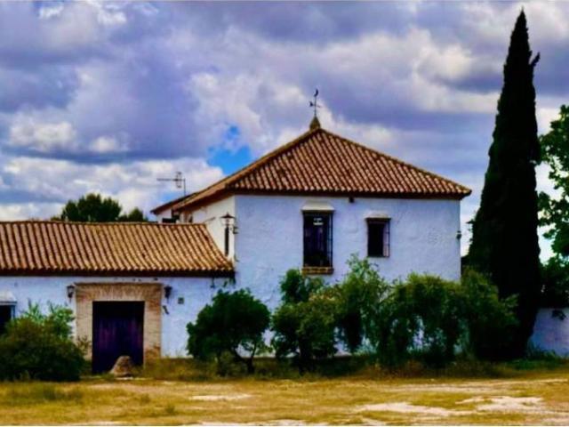 Inmueble en Venta en Marchena