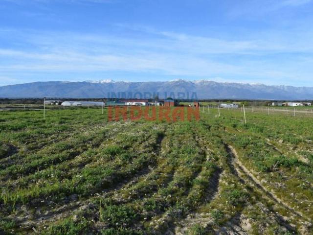 Inmueble en Venta en Navalmoral de la Mata
