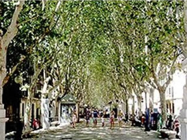 Inmueble en Venta en Palma de Mallorca