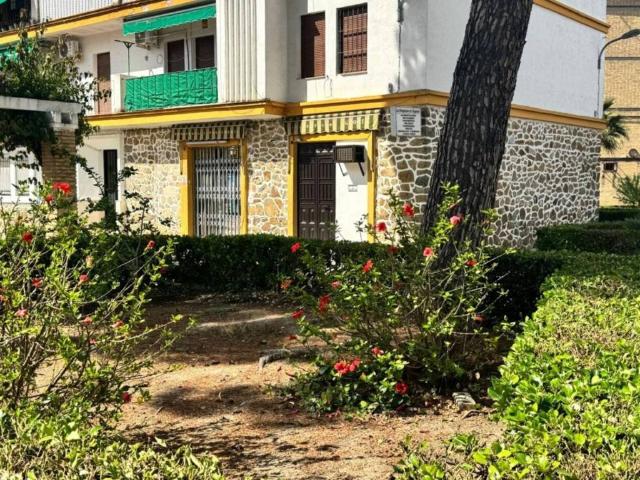 Inmueble en Venta en Palma del Río