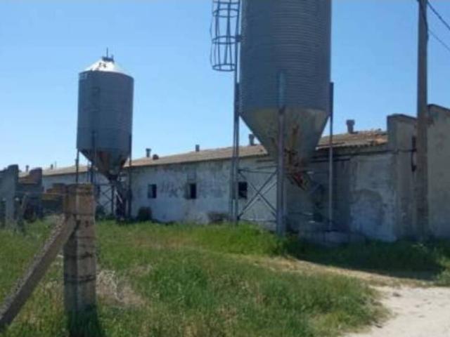 Inmueble en Venta en Pedrosillo de Alba