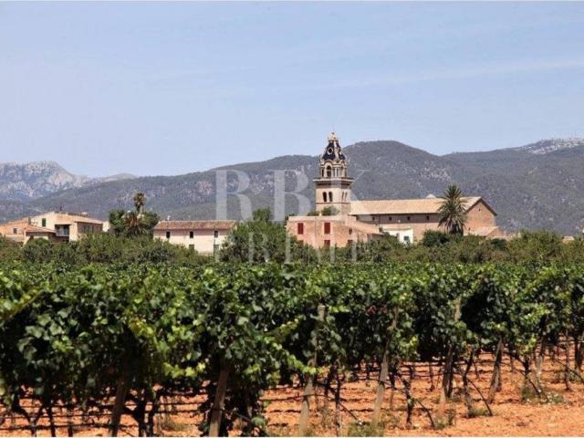 Inmueble en Venta en Santa Maria del Camí