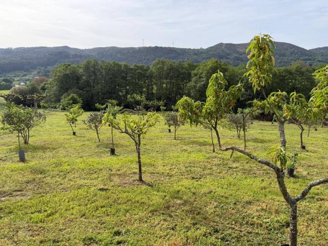 Inmueble en Venta en Silleda