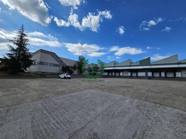 Inmueble en Alquiler en Torrelaguna