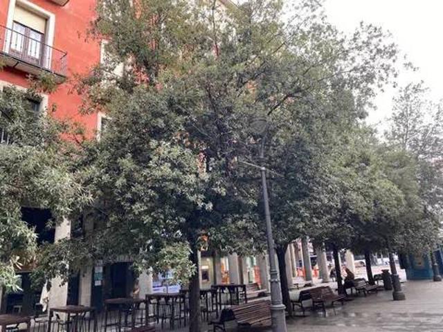 Inmueble en Alquiler en Valladolid