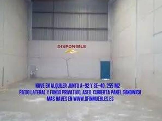Inmueble en Alquiler en Alcalá de Guadaíra