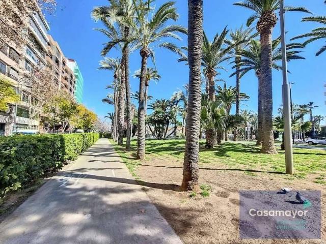 Inmueble en Alquiler en Alicante Alacant