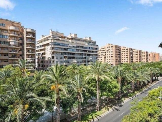 Inmueble en Alquiler en Alicante Alacant