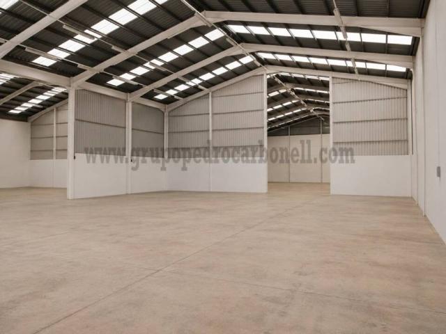 Inmueble en Alquiler en Aspe