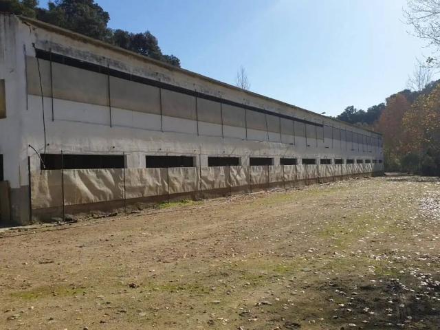 Inmueble en Alquiler en Arriate