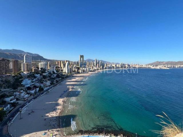 Inmueble en Alquiler en Benidorm