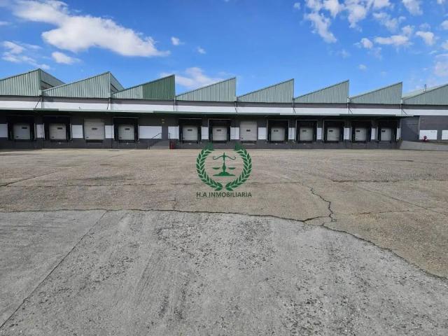 Inmueble en Alquiler en Colmenar Viejo