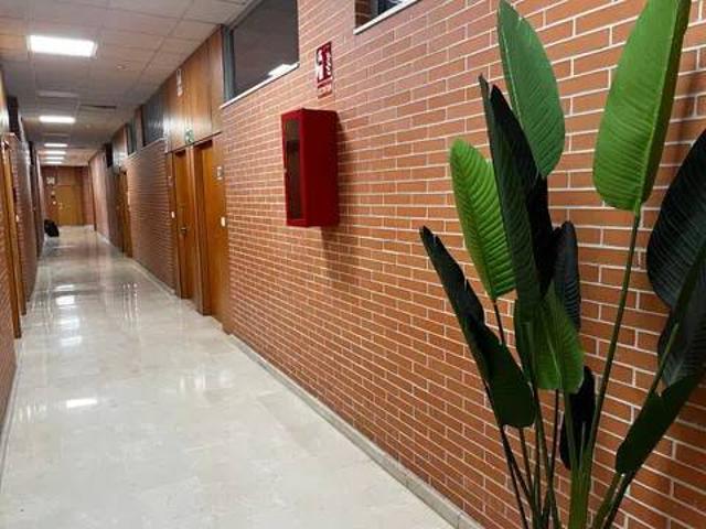 Inmueble en Alquiler en Dos Hermanas