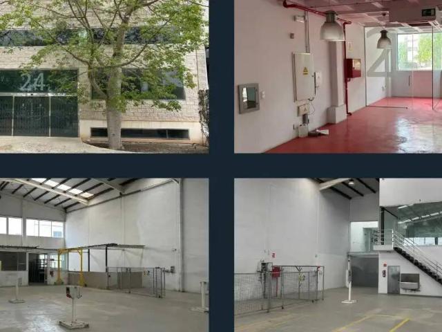 Inmueble en Alquiler en Elche Elx