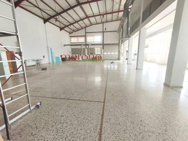 Inmueble en Alquiler en Elche Elx
