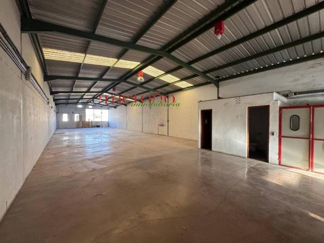 Inmueble en Alquiler en Elche Elx