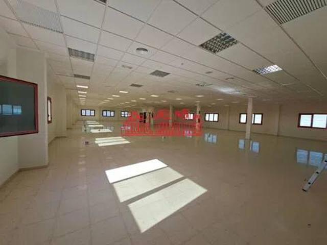 Inmueble en Alquiler en Elche Elx