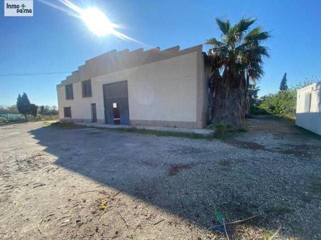 Inmueble en Alquiler en Elche Elx