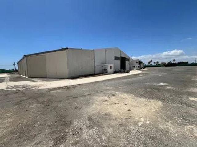 Inmueble en Alquiler en Elche Elx