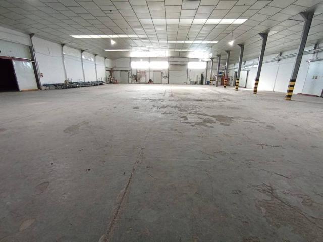 Inmueble en Alquiler en Elche Elx