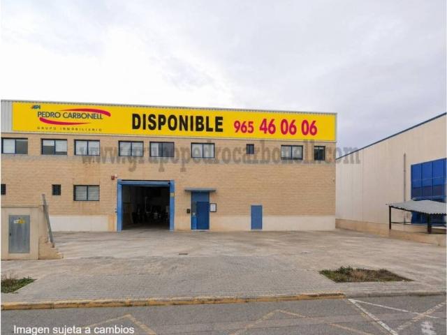Inmueble en Alquiler en Elche Elx