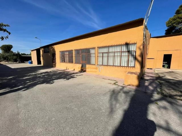 Inmueble en Alquiler en Elche Elx