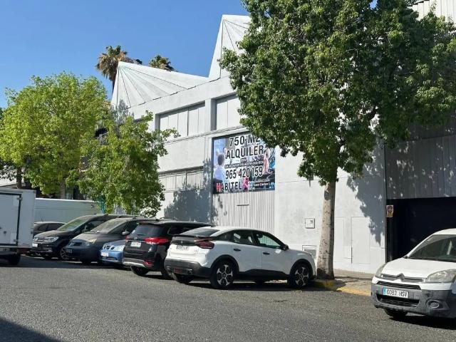 Inmueble en Alquiler en Elche Elx