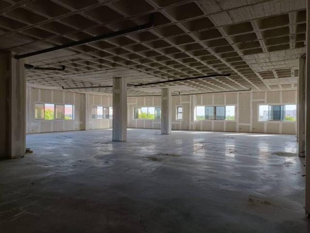 Inmueble en Alquiler en Elche Elx