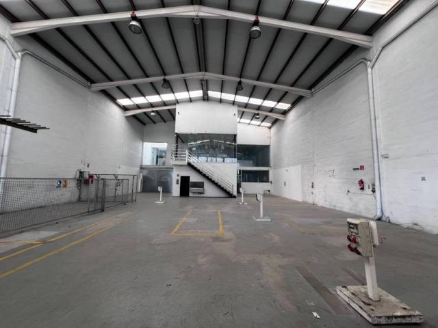 Inmueble en Alquiler en Elche Elx
