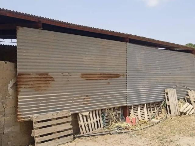 Inmueble en Alquiler en Lorca