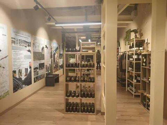 Inmueble en Alquiler en Madrid