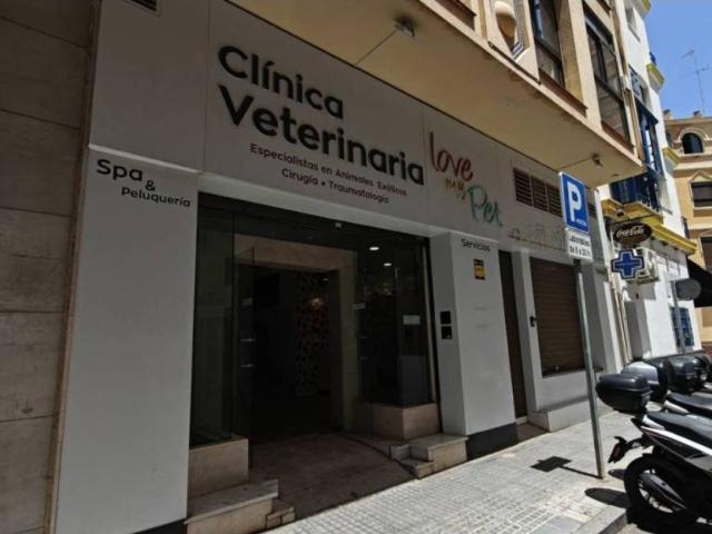 Inmueble en Alquiler en Málaga