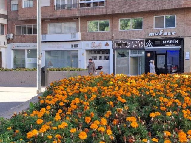 Inmueble en Alquiler en Murcia