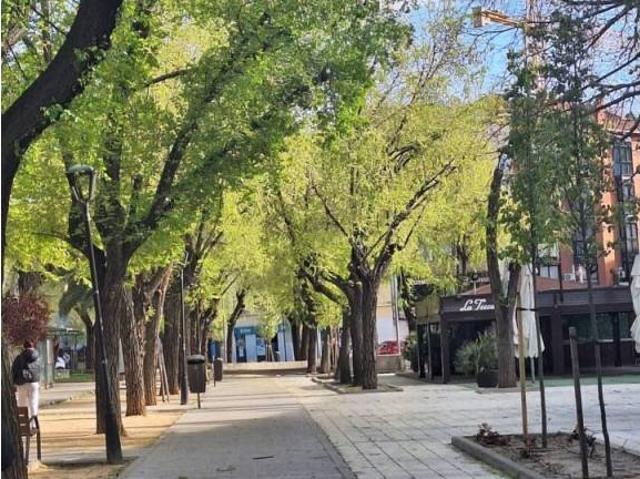 Inmueble en Alquiler en Pinto