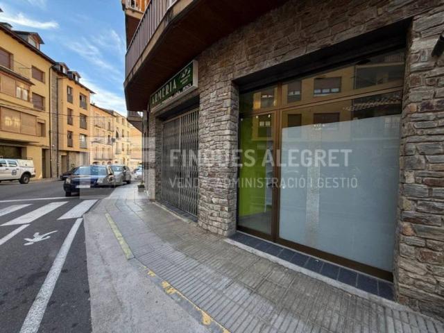 Inmueble en Alquiler en Sort