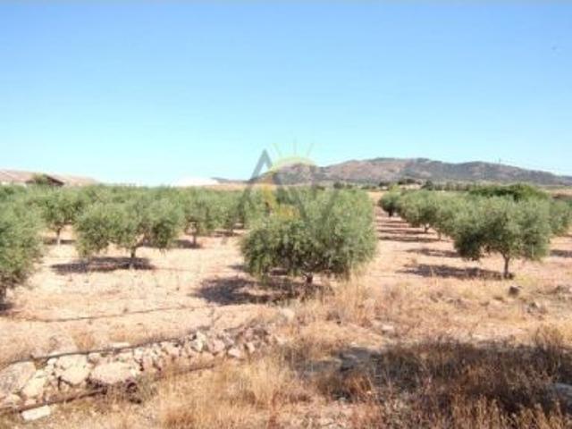 Inmaculada Casa Cueva con Barbacoa