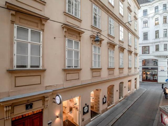 Innere 3br, fully furnished & equipped, Vienna Amsterdam Apartments for Rent