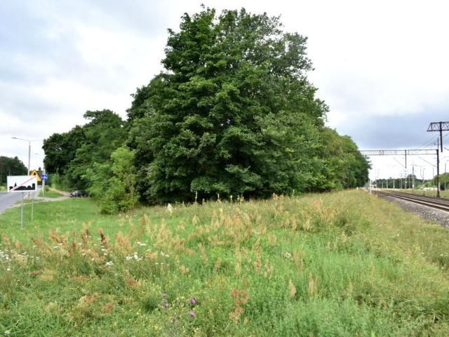 Inowrocławska 16 600 m², Włocławek