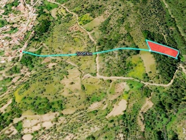 ÇINAR EMLAKTAN MİLAS ALAÇAMDA 4471 M2 YOLU OLAN ZEYTİNLİK