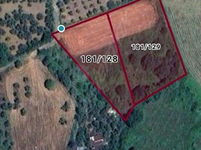 ÇINARCIK KORUDA DOĞA İÇİNDE DENİZE YAKIN 2 PARSEL 4663 M ZEYTİNLİK UYGUN FİYAT 12 MİLYON