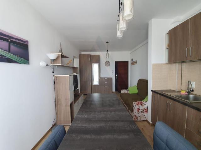 Închiriază Apartament 1 camere Turnișor