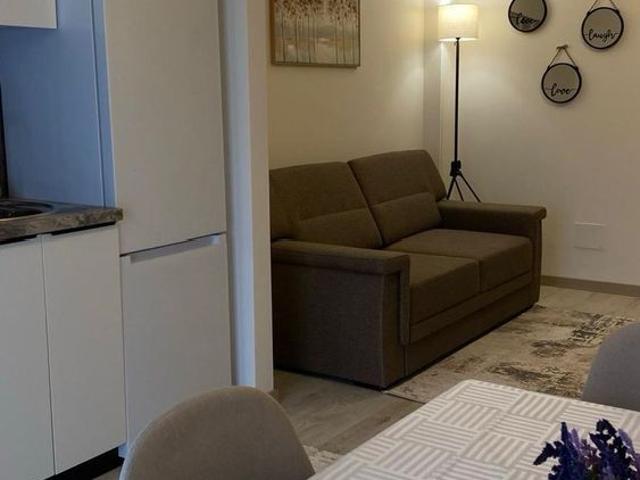 Inchiriere ap. 2 camere, open space, Bucium Visan, prima inchiriere