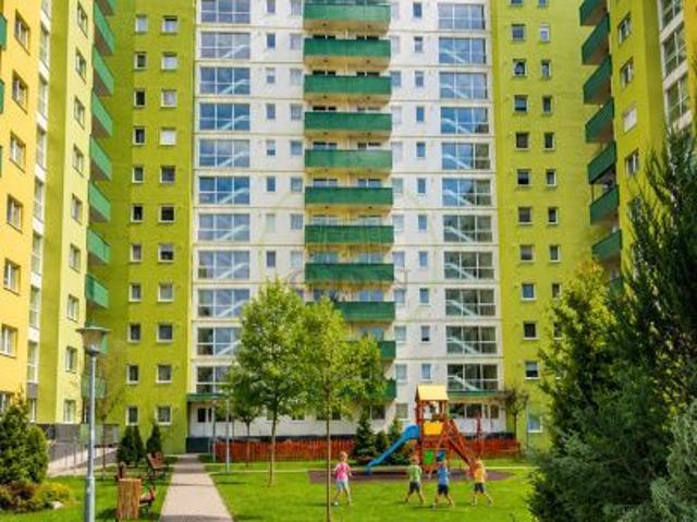 Inchiriere apartament 2 camere Coresi Top City Tractorul Brasov pet fr
